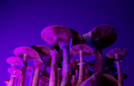 Psilocybin