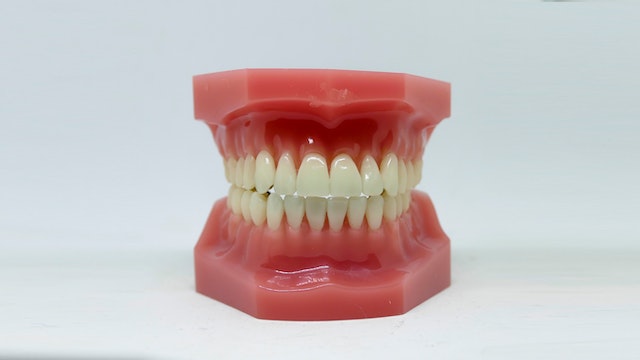 teeth