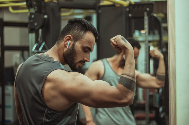 muscle